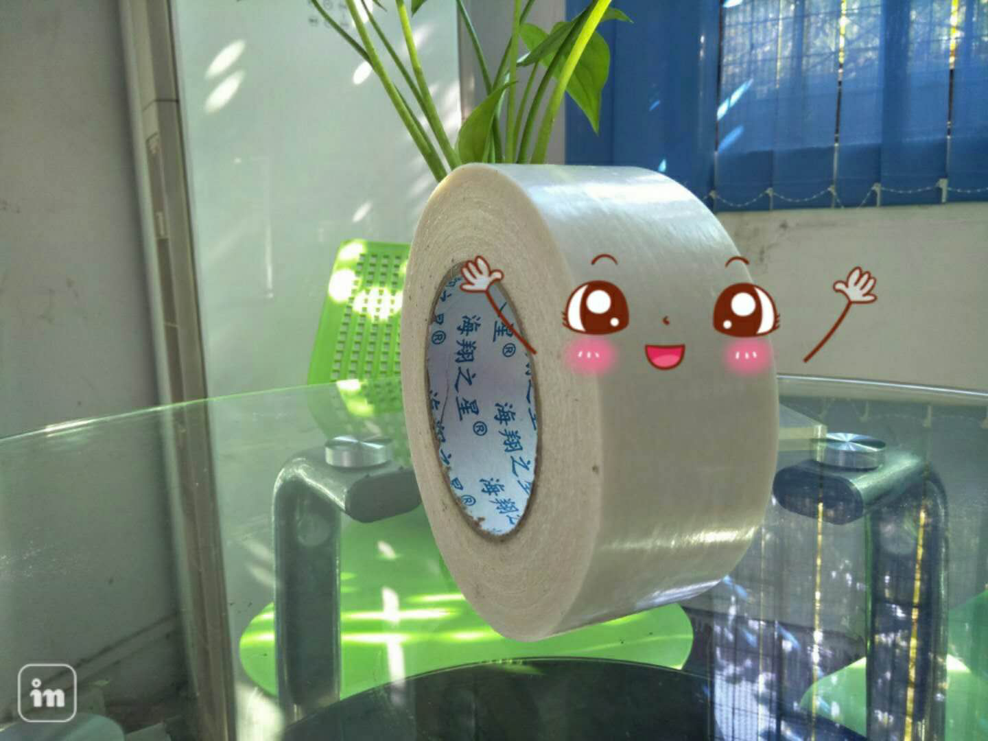 展會(huì )與布基